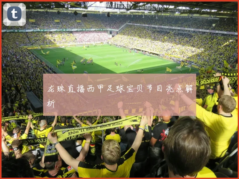 龙珠直播西甲足球宝贝节目亮点解析